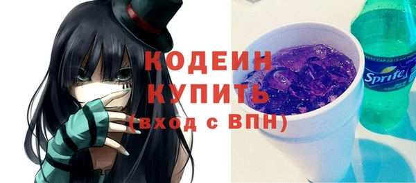 apvp Дмитриев
