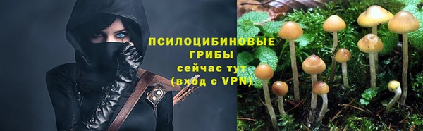 бошки Ельня