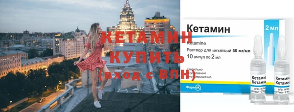 прущие грибы Елизово