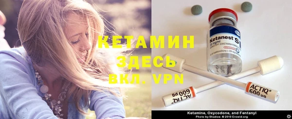 прущие грибы Елизово