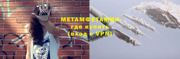 прущие грибы Елизово