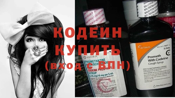 бошки Ельня