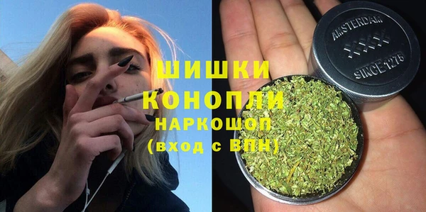 бошки Ельня
