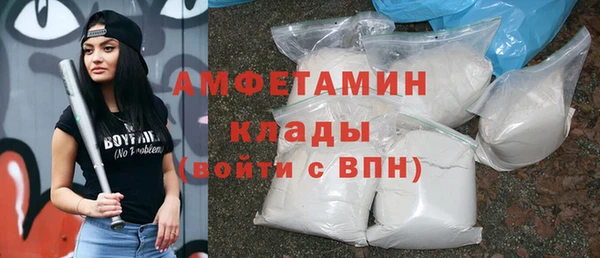 прущие грибы Елизово