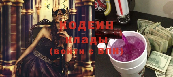 apvp Дмитриев