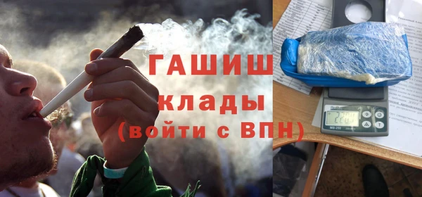 прущие грибы Елизово