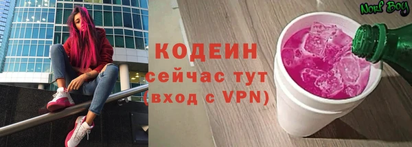 прущие грибы Елизово