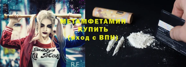 прущие грибы Елизово