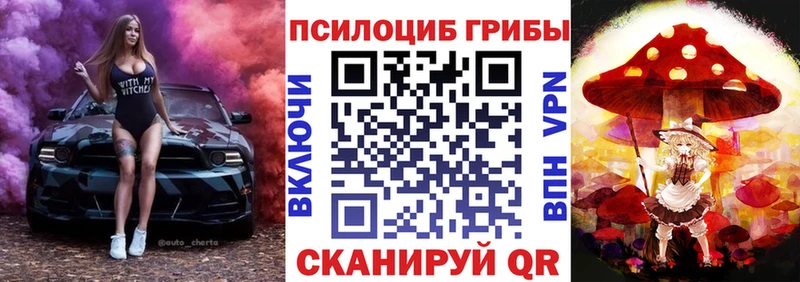 OMG как зайти маркетплейс Telegram Псилоцибиновые грибы GOLDEN TEACHER купить наркотик Свободный