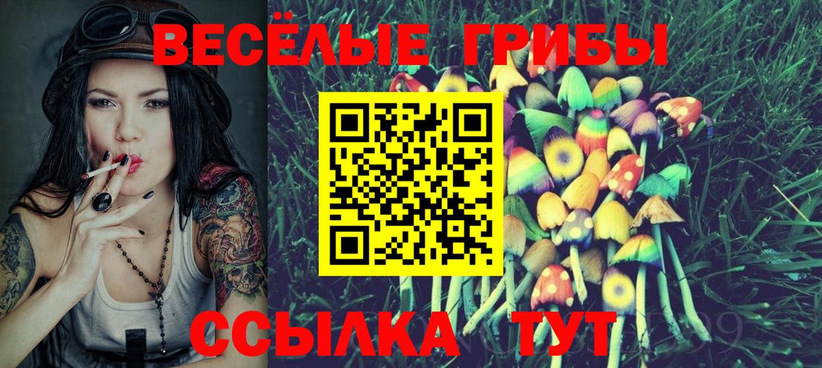 Псилоцибиновые грибы Cubensis Свободный